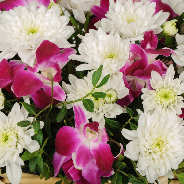 Букет в корзине Аромат свежести