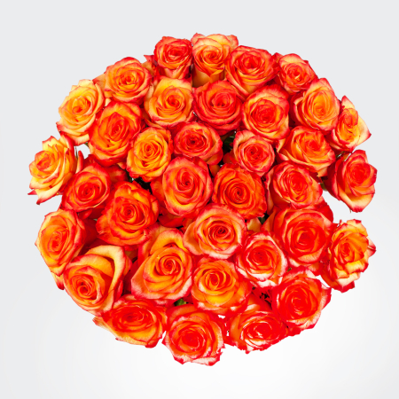 Букет 35 роз Хай Мэджик