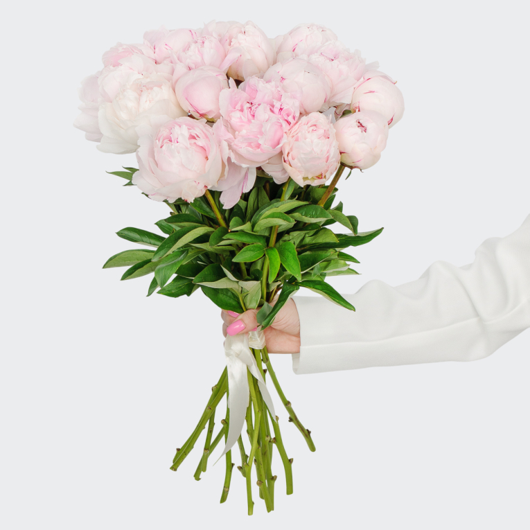 Букет из пионов 15 комплиментов