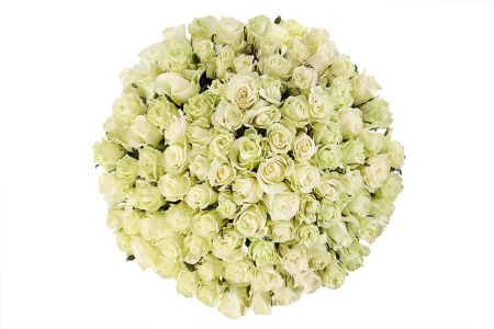 Букет 101 роза Мондиаль