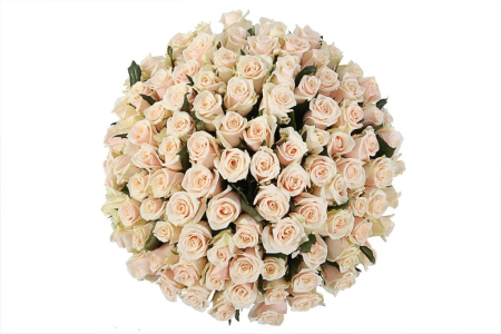 Букет 101 роза Талея в шляпной коробке