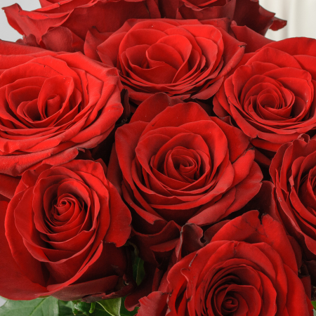 Букет 9 роза Высокие чувства