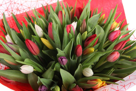 Букет 45 тюльпанов в красной бумаге, микс