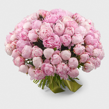 Букет 101 пион Розовый жемчуг