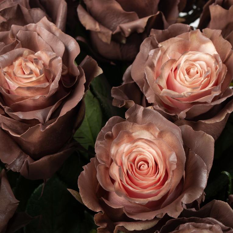 Букет 25 роз Кофе со сливками