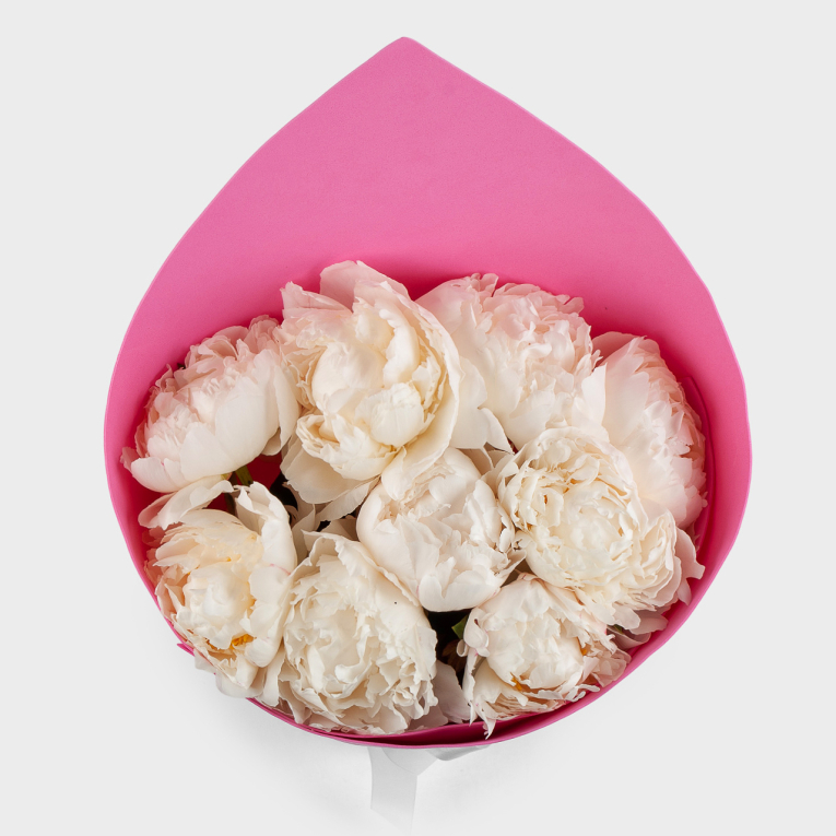 Букет из 9 пионов Песня ангела