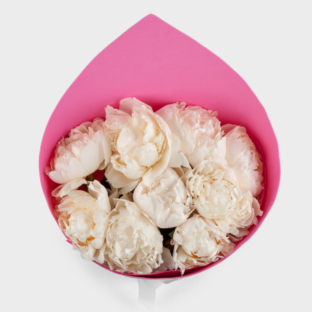 Букет из 9 пионов Песня ангела