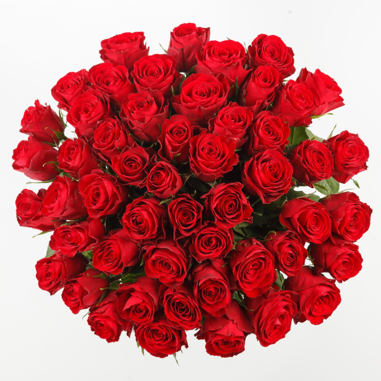 Букет из 51 розы Страстный поцелуй + Десерт в ПОДАРОК!