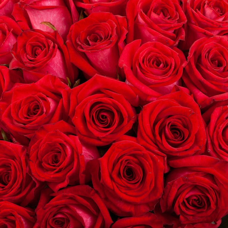 Букет из 101 розы Глаза в глаза