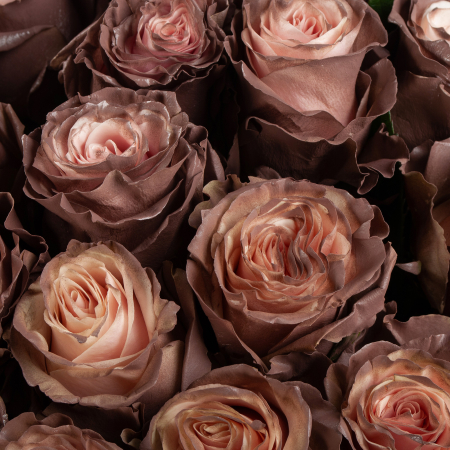 Букет 75 роз Кофе со сливками