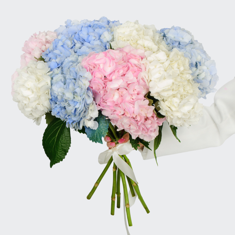 Букет 9 гортензий Цветочные облака