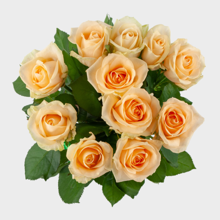 Букет 11 роз Нежное дыхание