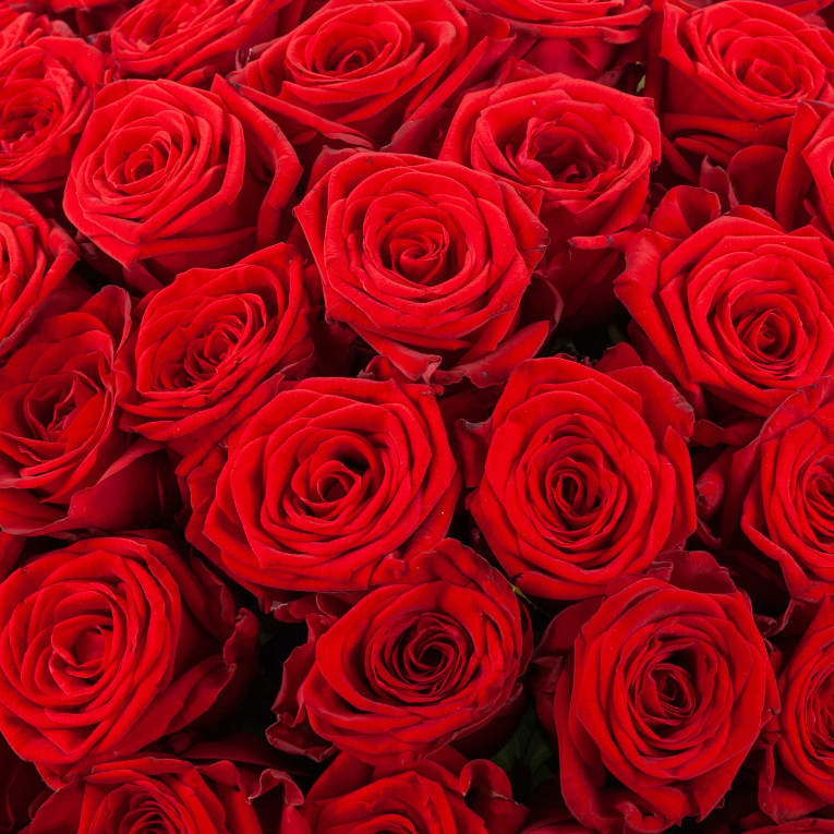 Букет из 101 розы в крафте Красная молния