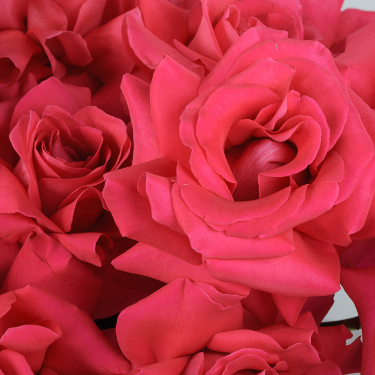 Букет в коробке Поцелуй на закате