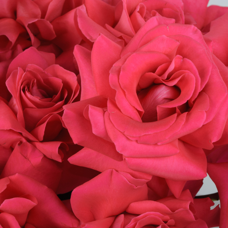 Букет в коробке Поцелуй на закате