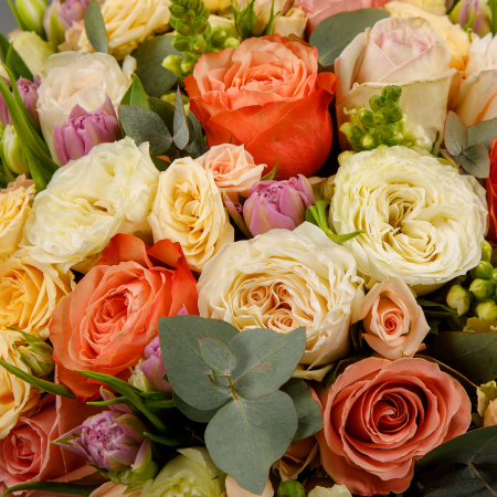 Букет Ла-Ла Ленд