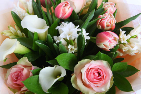 Букет Выбор Софии