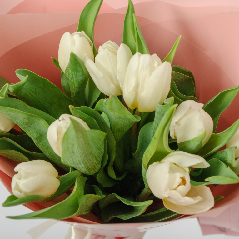Букет 9 белых тюльпанов