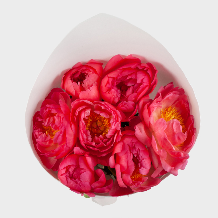 Букет из 7 пионов Огонь любви