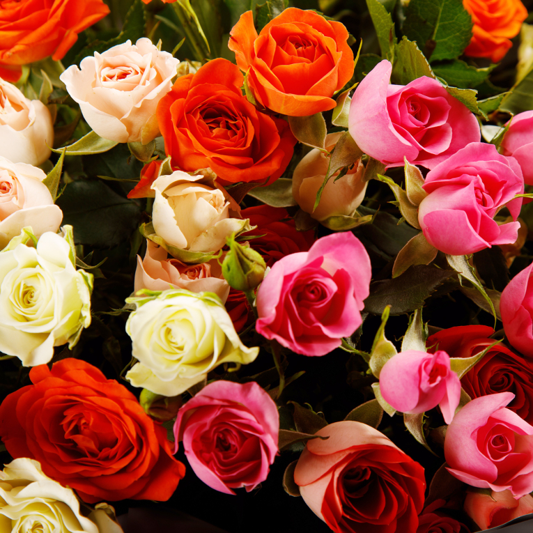 Букет из 19 роз Палитра чувств