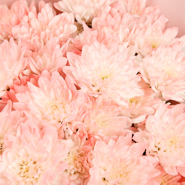 Букет Мечта о розовых облаках