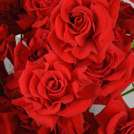 Букет в коробке Валентинка (35 роз)