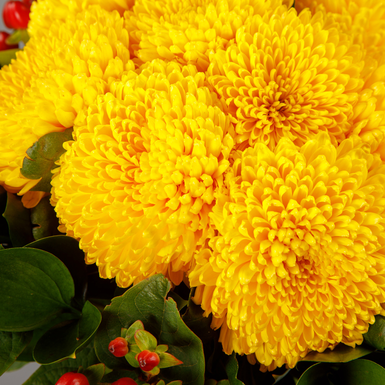 Букет с хризантемами Солнечная система