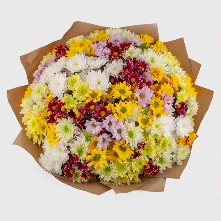 Букет 51 кустовой хризантемы