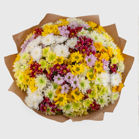 Букет 51 кустовой хризантемы