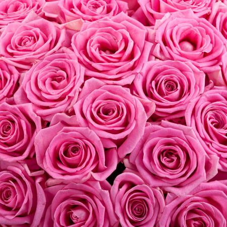 Букет из 101 розы Куколка