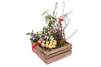 Букет Птичий дворик в кашпо Букет Птичий дворик в кашпо