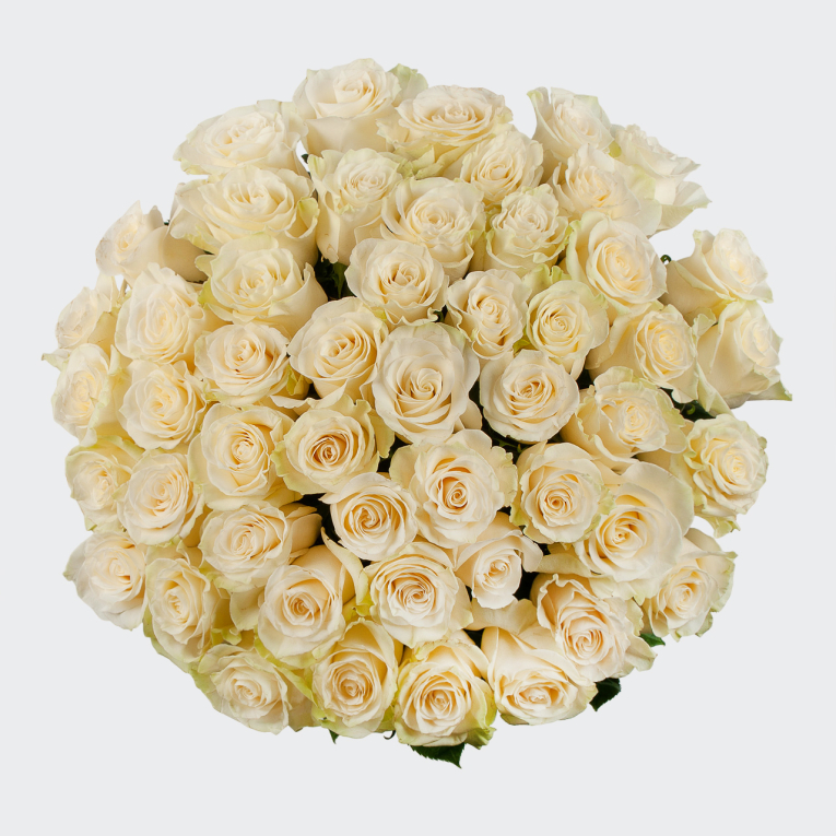 Букет 51 роза Мондиаль (Эквадор), 60 см