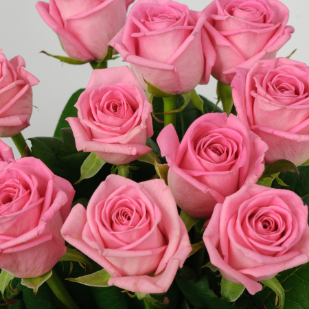 Букет 11 роз Розовая звезда