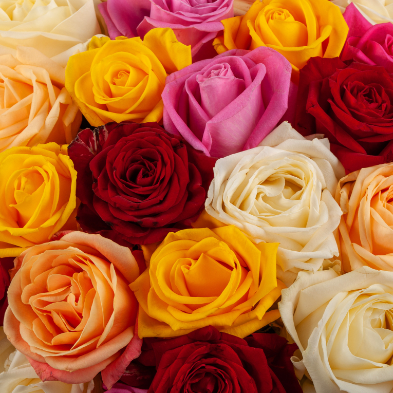 Букет в корзине Остров любви (151 роза)