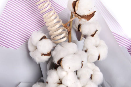 Букет Хлопковый рай