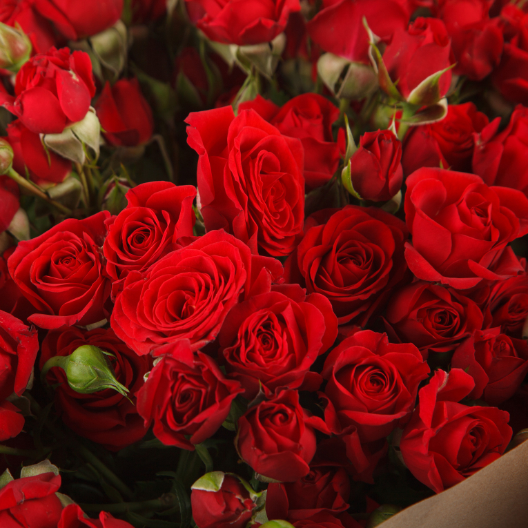 Букет из 21 кустовой розы Мирабель