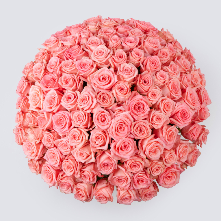 Букет Розовая королева (101 роза)