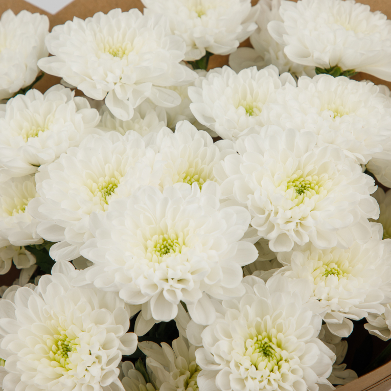 Букет Вечная нежность