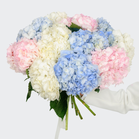 Букет 11 гортензий Цветочные облака
