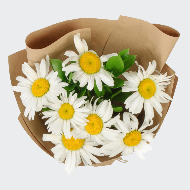 Букет ромашек Полевой цвет (7 шт)