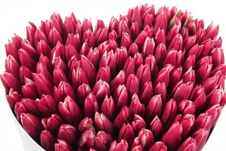 Композиция Весеннее вдохновение (макси), алая