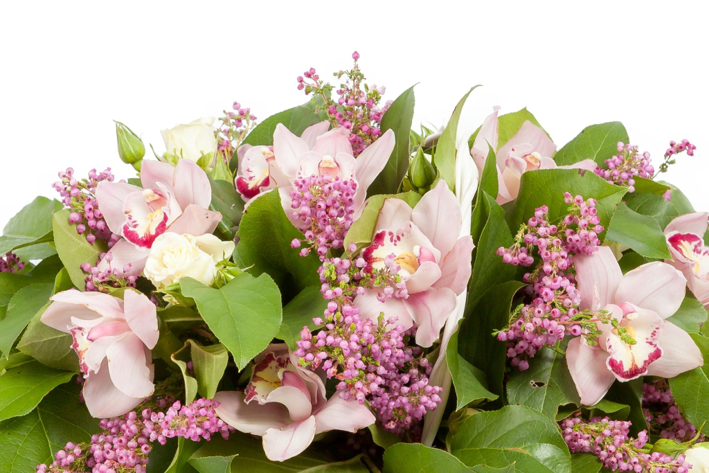 Букет Энни Холл