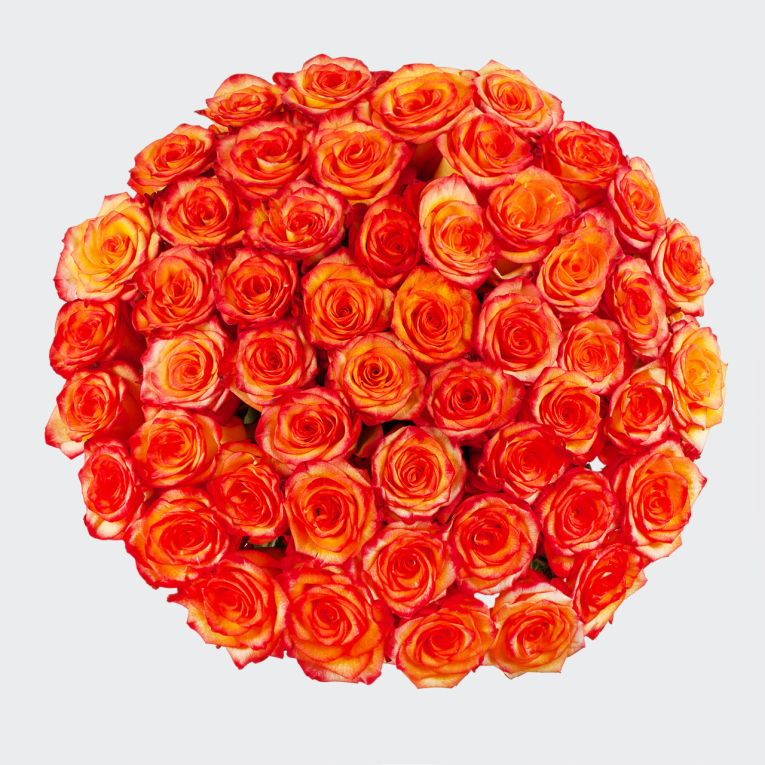 Букет 51 роза Хай Мэджик