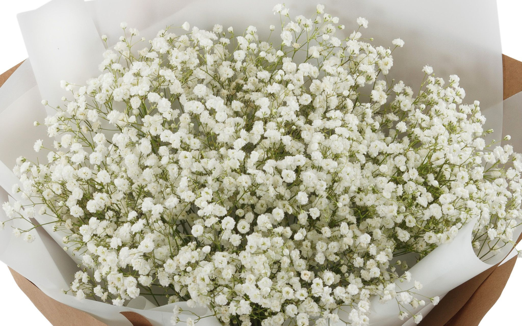 Букет Миллион звезд + торт «Наполеон» (570 г)