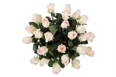 Букет 25 роз Сеньорита