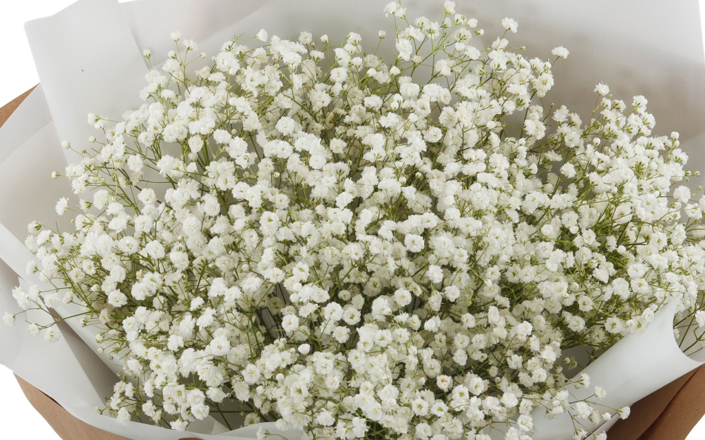 Букет Миллион звезд + торт «Пломбир»