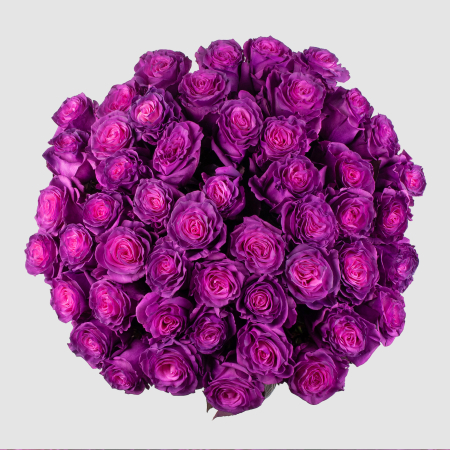 Букет 51 роза Лунный рассвет