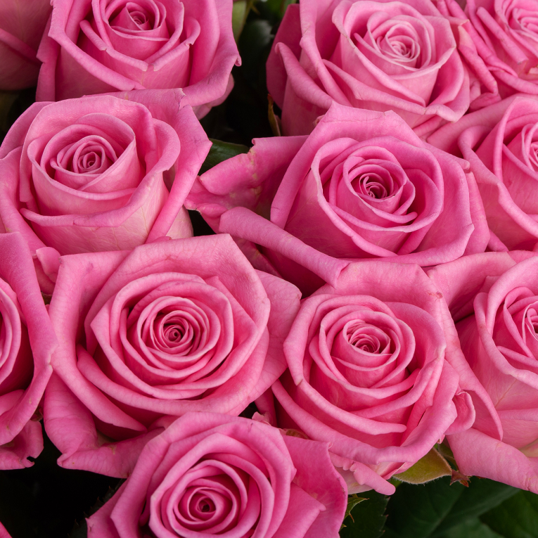 Букет из 45 роз Цвет сердца