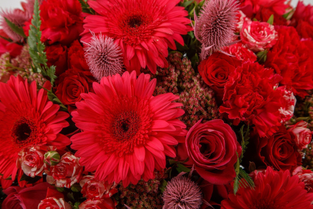 Букет 500 дней лета