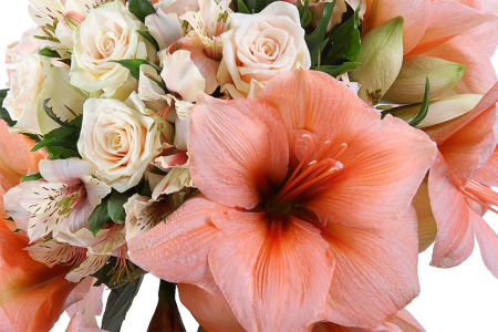 Букет с гиппеаструмами Империя Солнца